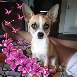 Meet your Posher, Becky